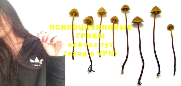 кокаин колумбия Баксан