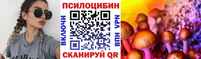 Псилоцибиновые грибы мицелий  Барабинск 